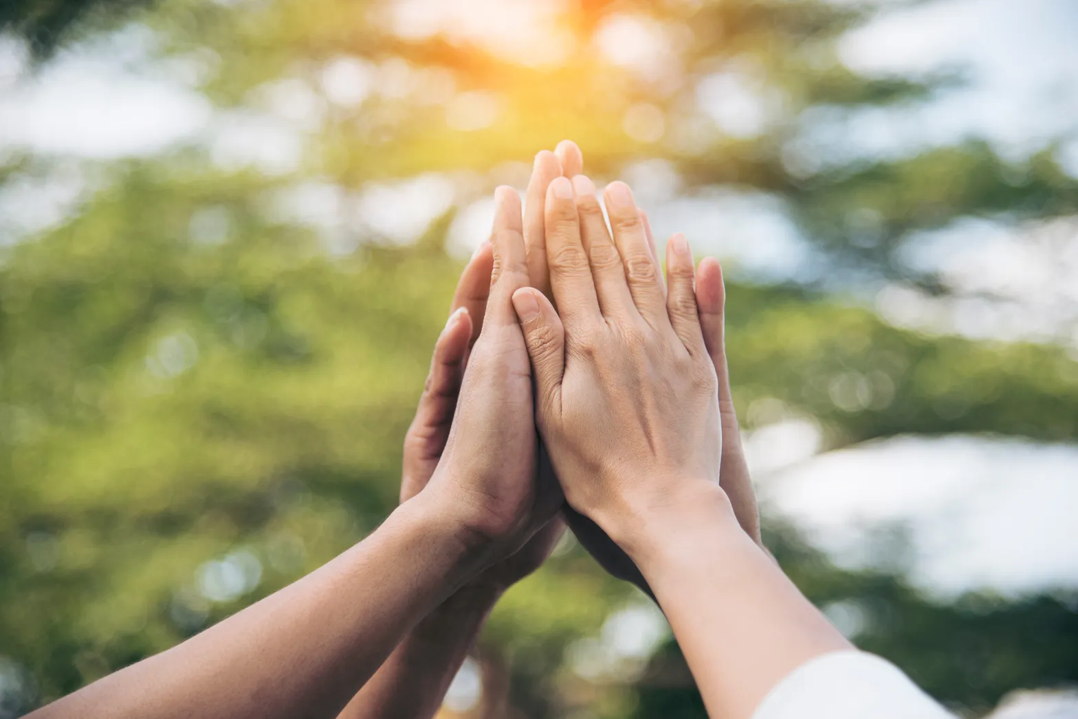 Mehrere Hände verschiedener Menschen treffen sich zu einem gemeinsamen High Five