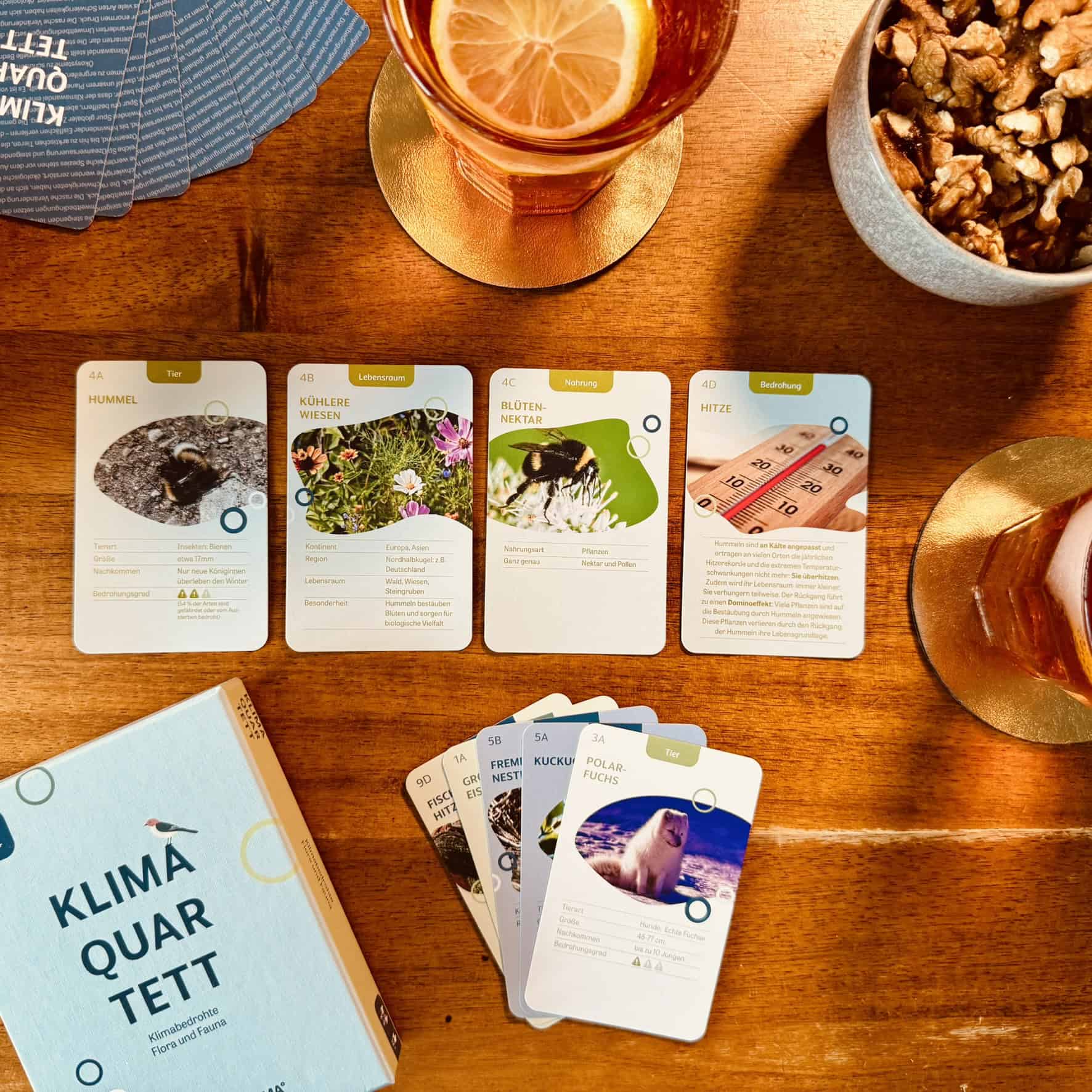 Das Klimaquartett von KLIMA° vor acht – ein Kartenspiel zum spielerischen Zugang zur Klimakrise
